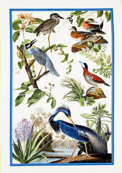 Printed Cotton Tea Towel - Bird Atlas