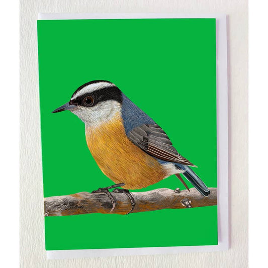 Nuthatch On Branch Card