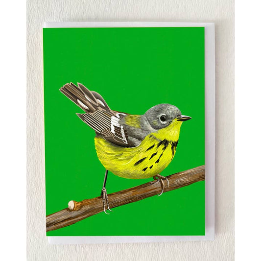 Canada Warbler Bird Card