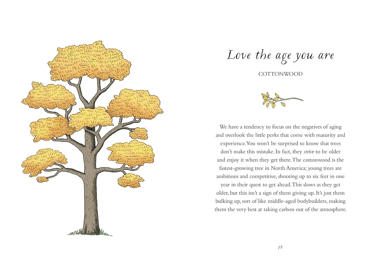 How to Be More Tree
