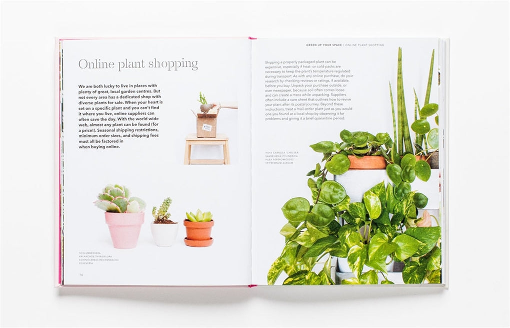 How to Raise a Plant