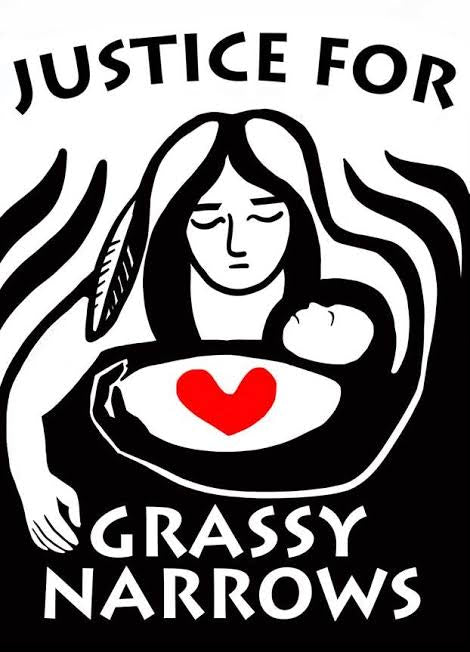 Grassy Narrows Donation