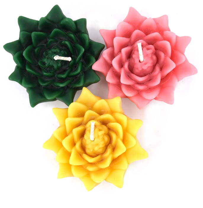 A boxed set of three handmade pure beeswax floating lotus candles in a packaging displaying the candles through a clear window, with colors visible being red, orange, and blue.