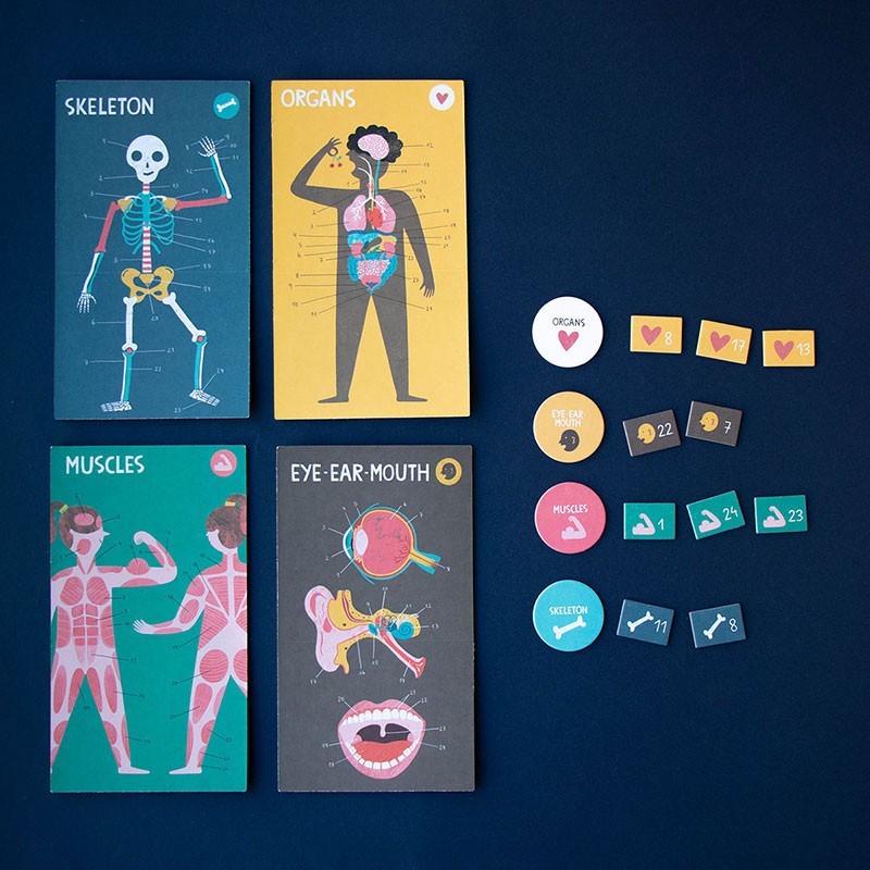 Inside Me Discovery Game