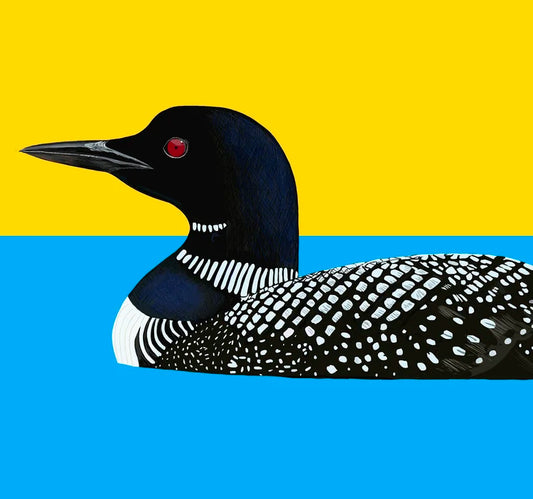 Loon on the Water Card