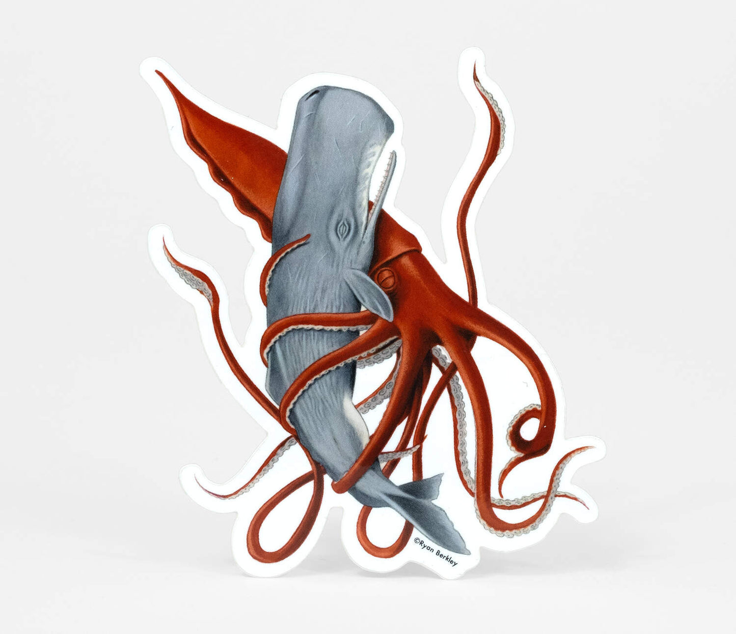 Squid and Whale Sticker