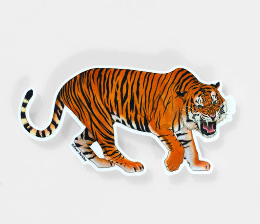 Tiger Sticker