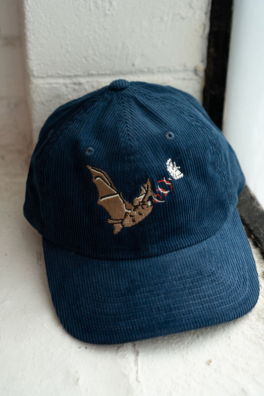 Echolocation Corduroy Dad Hat