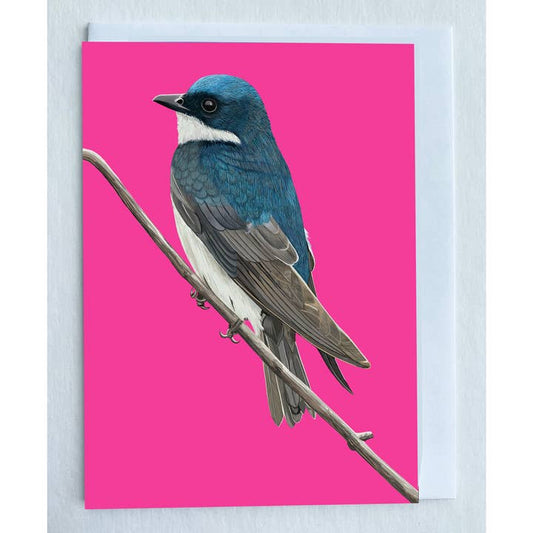 Tree Swallow Card