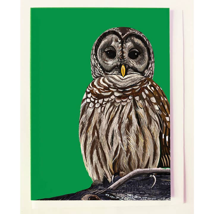 Barred Owl Card