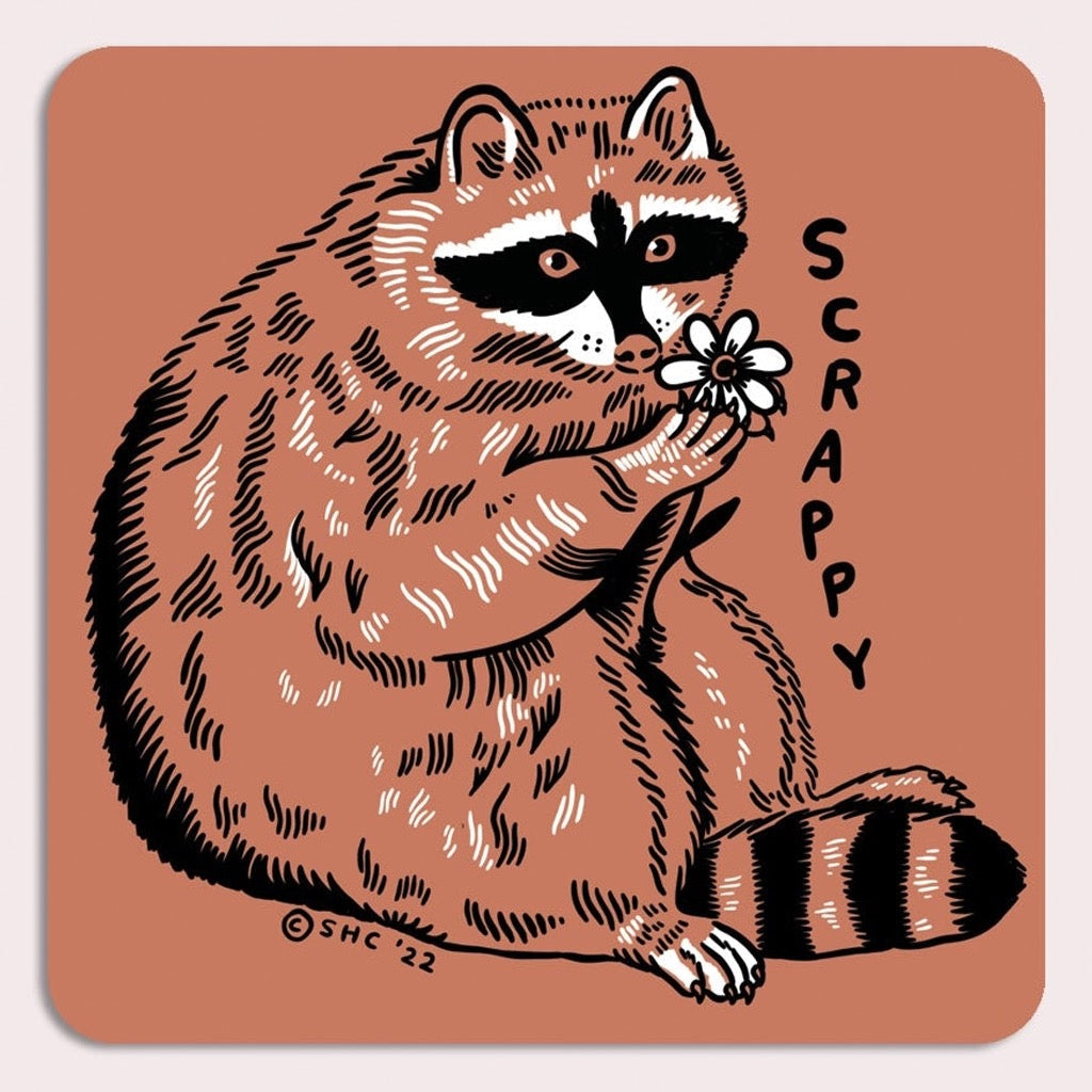 Scrappy Raccoon Sticker